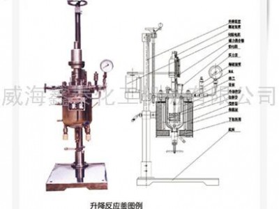 供应设备产品:升降反应釜