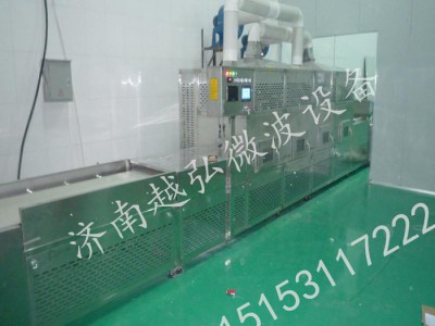 微波干燥设备