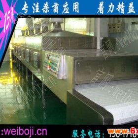 中药颗粒微波干燥设备 生物质颗粒微波干燥设备 塑料颗粒微波干燥设备