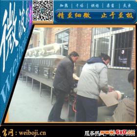 纸袋干燥设备 纸盒干燥设备 微波干燥设备