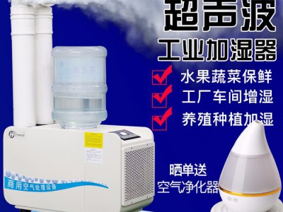 湖北黄石-超声波保鲜加湿器 YD-C6工业加湿器 超声波分体加湿器 蔬菜保鲜加湿器