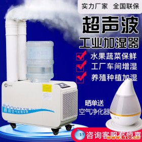 湖北黄石-超声波保鲜加湿器 YD-C6工业加湿器 超声波分体加湿器 蔬菜保鲜加湿器