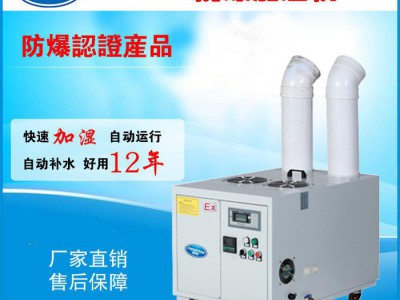 30Kg/H防爆加湿机  防爆工业加湿器 