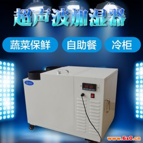 深圳工业超声波加湿器NMT-30L，先进生产技术，为你订做工业车间加湿器