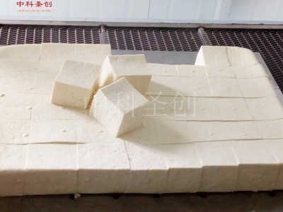 安庆大豆腐加工设备，全自动豆腐加
