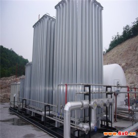 标准加气站成套设备 煤改气点供设备 LPG汽化器成套设备