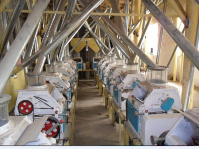 郑州双帆机械设备供应新型面粉加工