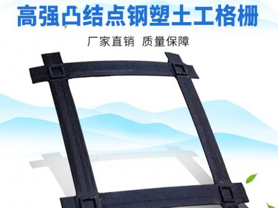 湖北 云南 广西专用钢塑土工格栅 pp