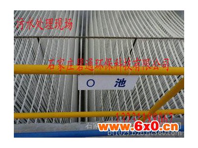 碧通各种其他过滤材料 帘式填料 自由体生态基 仿水草填料厂家