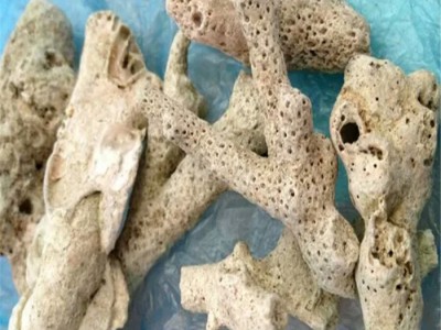 珊瑚骨 珊瑚石 珊瑚石粉 珊瑚沙 过滤材料