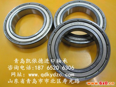 NSK进口建筑机械轴承样本6006-2RS轴