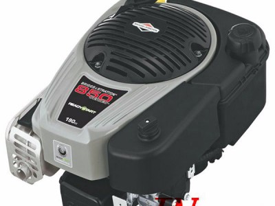内燃机百力通Series-650垂直轴发动