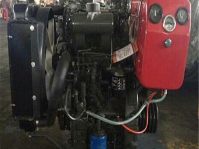 山东潍柴双缸内燃机 ZH2110P柴油发动机 24KW2000转 内燃机厂家直销