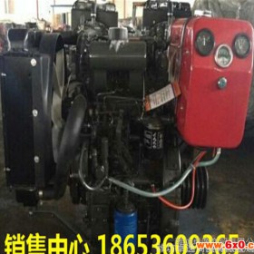 山东潍柴双缸内燃机 ZH2110P柴油发动机 24KW2000转 内燃机厂家直销