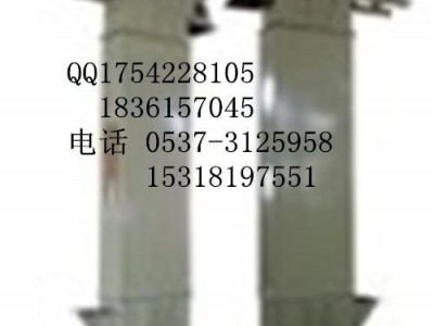 矿业专用输送机  垂直挖斗上料机价格  曲阜汇科输送机械厂 Z1