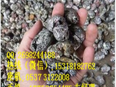 皮革撕碎机胶块生胶树胶双轴撕碎机 设备