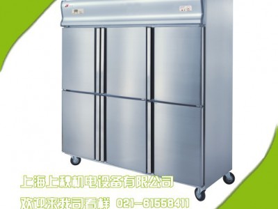 广绅六门冰箱低温冷柜冷冻柜厨房商