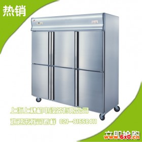 广绅六门冰箱低温冷柜冷冻柜厨房商用酒店设备冷冻柜铁管GD1.6L6D
