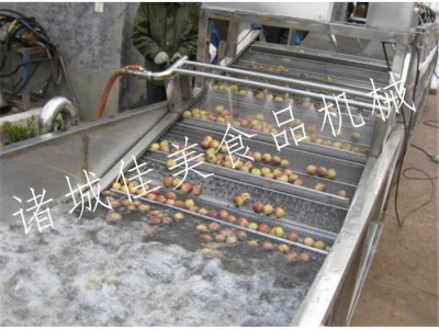 芹菜清洗设备 青菜清洗设备 佳美机械提供优质清洗设备