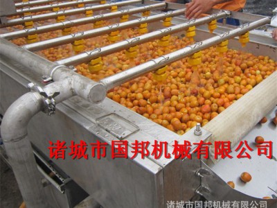 国邦 清洗机 毛刷清洗设备 毛刷清洗去皮设备