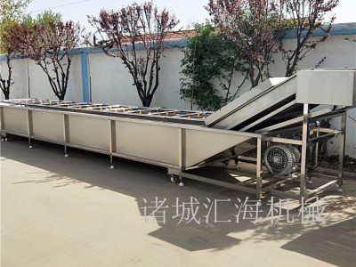 HH汇海药材清洗机 食用菌清洗设备 