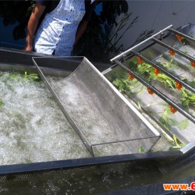 汇海HZ600型 果蔬加工清洗设备净菜加工清洗设备净菜清洗设备涡流清洗机