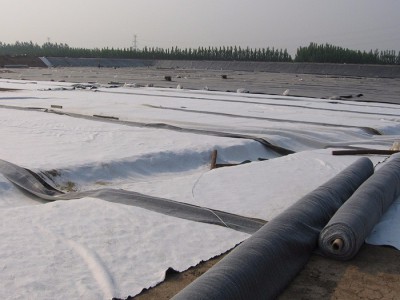 路通建材  防水毯  优质生产厂家