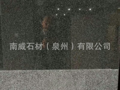 雪山黑花岗岩 黑色花岗岩台面板黑色石材花岗岩 建材花岗岩加工