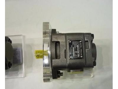 塑料机械伺服HG2-100-01R-VPC齿轮泵