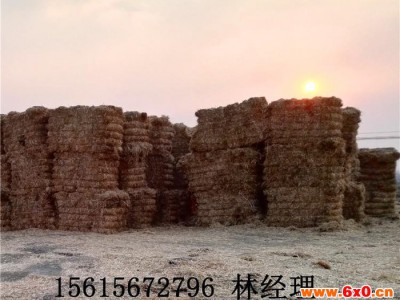 双液压杆废纸打包机 液压机械 纸箱打包机 液压打包机 价格优惠