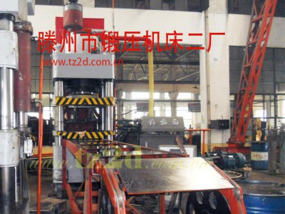盐砖液压机 牛羊添砖压块成型四柱液压机械300T 800T 专业制造