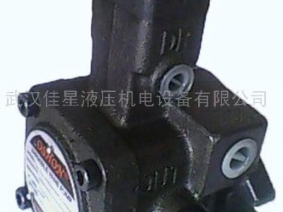 供应橡胶机械专用低压变量叶片泵