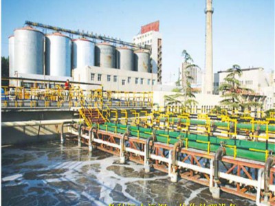 造纸厂污水治理设备 锦州水污水设备