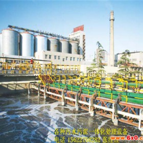 造纸厂污水治理设备 锦州水污水设备  WS-166P