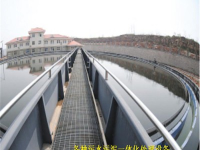 造纸厂污水治理设备  WS-166P  锦州