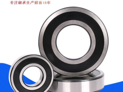 轴承销售  伟航轴承6005 托辊专用轴