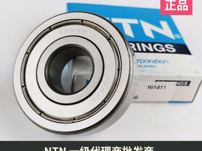 ntn 进口轴承 ntn轴承 ntn ntn6303 