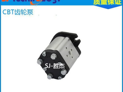 优质液压元件齿轮泵系列CBT-F310 CB