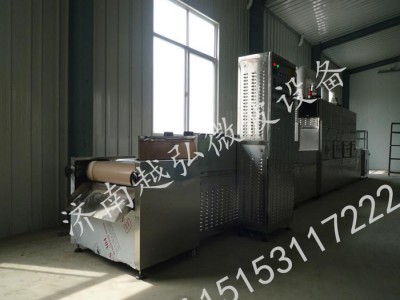 陶瓷定型设备，陶瓷微波干燥设备