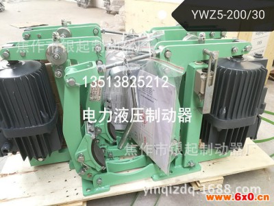 电力液压制动器YWZ9-160/E30液压制动器