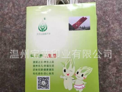 环保服装袋 手提纸袋 服装礼袋   可