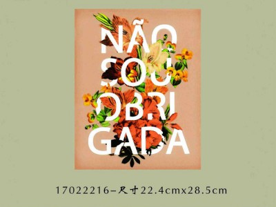 葵青离岛广州中大鸿彩韩国烫画个性化定制可当天出货定做创意个性服装温变烫画t恤服装印花烫图转印服装图案可定制 服装图案