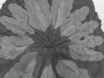 振业服装特种专机工艺花加工  服装