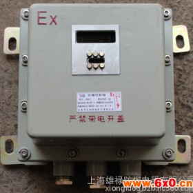 防爆仪表箱 防爆温控仪表箱 防爆液压仪表箱 防爆传感仪表箱 防爆电源表箱  BXK防爆仪表控制箱