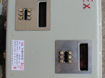 防爆温控仪表箱 防爆仪表箱  防爆液压仪表箱 防爆传感仪表箱 防爆电源表箱 BXK防爆仪表控制箱
