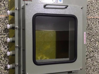 中沈防爆BYB 高温防爆仪表箱byb-300x400x200 江苏那里有防爆数显仪表箱双层门防爆仪表箱内装探测仪表