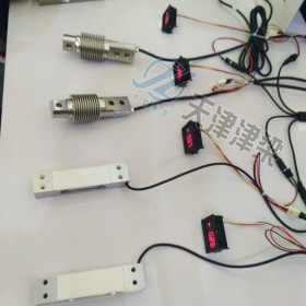 SS-SM-Ex/SMS-Ex系列称重模块 防爆衡器仪表 称重仪表