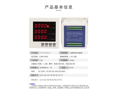 东标acxe798多功能电力仪表 智能电