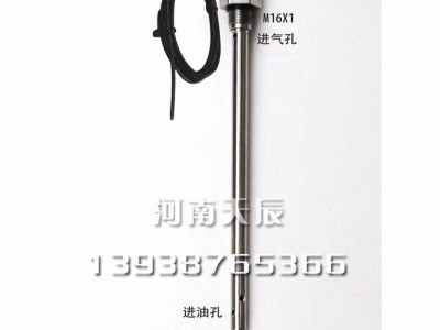 【天辰仪表】油位计  油位仪表  油