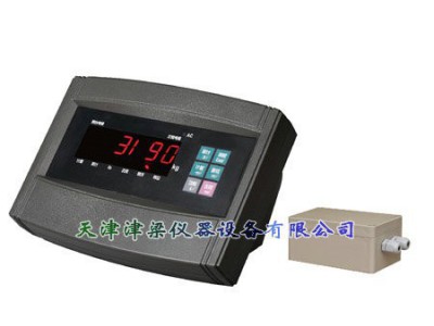XK3190-AW1数码显示器/无线数字/模